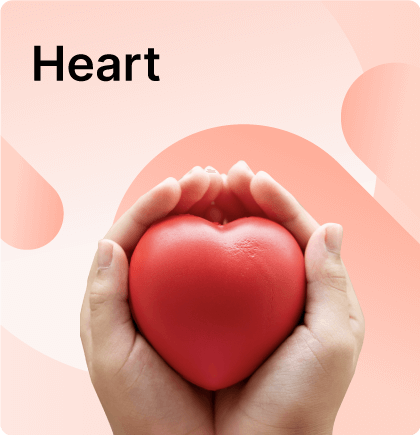 imgi_785_520acd31898-heart